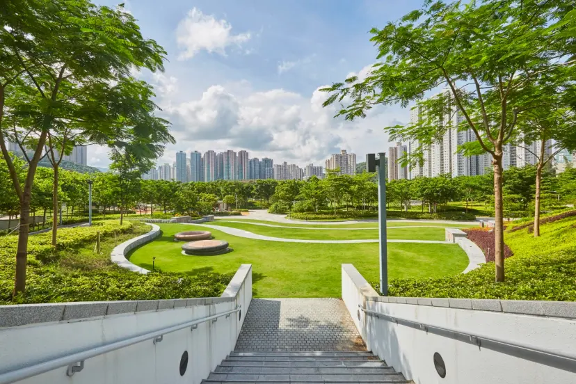Acres of Green Bliss